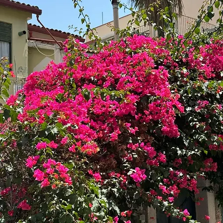 Villa Carla, A Charming In The Center Of *